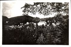 CPA Peira Cava sejour ideal dans la verdure Cure d'air 