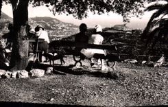 CPA Falicon Un joli point de vue 