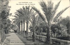 CPA Cap d'Antibes A M villa Ellenroc Allee des Palmiers 