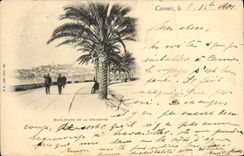 CPA Cannes Boulevevard de la Croisette 