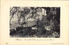 CPA Menton La vieille ville vue prise entre les Oliviers 