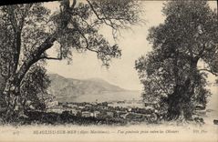 CPA Beaulieu sur Mer Alpes Maritimes Vue generale prise entre les Oliviers 