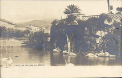 CPA Nice La Cascade du Jardin 