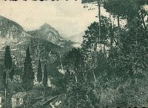 CPA Sur la Route de Roquebrune a Gorbio 