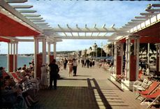 CPSM Cote d'Azur Nice Flanerie la long de la des Anglais 