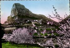 CPSM Saint Jeannet A M le Printemps Cerisiers en fleurs 