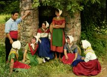 CPSM Cotes de Provence Couleurs et Lumiere de France Terre de la Vigne des Vendangeurs pres du vieux