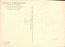 CPSM Cotes de Provence Couleurs et Lumiere de France Terre de la Vigne des Vendangeurs pres du vieux