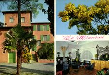 CPSM La Mimosaie Chemin des Caillades La Colle sur Loup