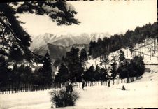 CPSM Peira Cava (A M) alt 1500m Vue sur les Alpes