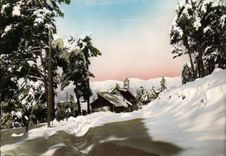 CPSM Peira Cava (A Malt 1500 m) Station d'Ete ideale et Sports d'Hiver La Chapelle et a Chaine des A