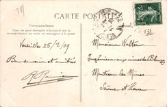 CPA Versailles Parc de Versailles Perspective du Tapis vert et du Palais