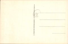 CPA Mantes La Jolie Promenade dans L'Ile aux Dames