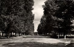 CPA Gambais (S et O) L'Avenue