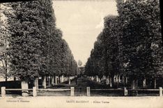 CPA Saint Maxient Allees Vertes