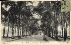 CPA Amiens la Hotoie Allee principale