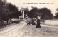 CPA Cayeux sur Mer Une Allee du bois de Brighton