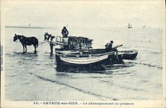 CPA Cayeux Sur Mer Le debarquement du poisson