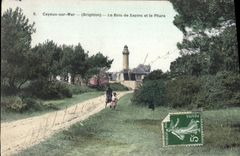 CPA Cayeux sur Mer (Brighton) Le Bois de Sapins et le Phare