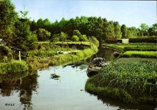 CPSM Amiens (Somme) Les Hortillonnages