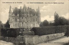 CPA La Chataigneraie Le Chateau Bailly du Pont 