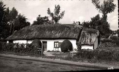 CPA Au Pays de Monts Une des dernieres Bourines du pays Maraichin 