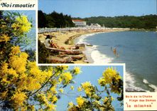 CPSM Ile de Noirmoutier Plage des Dames bois de la chaise le mimosa