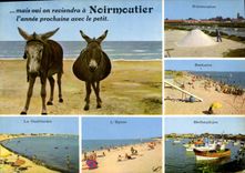 CPA La Vendee Pittoresque Ile de Noirmoutier 
