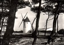 CPA Ile de Noirmoutier L'Epine Moulin de la Bosse 