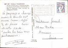 CPA Tulipes Vendeennes Tranche sur Mer La Conche La Terriere La Griere