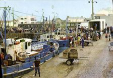 CPA St Gilles Croix de Vie Activite du Port 