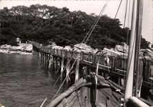 CPSM Ile de Noirmoutier L'Estacade du Bois de la Chaize 
