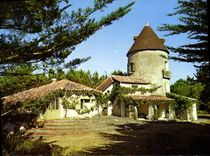 CPSM Ile de Noirmoutier Vendee Barbatre Moulin de la Frandiere 