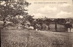 CPA Fresnay sur Sarthe Le coin prefere 