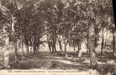 CPA Fresnay sur Sarthe Les Promenades allee principale 
