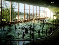 CPSM Le Mans Sarthe la piscine Municipale Bassin d'hiver 
