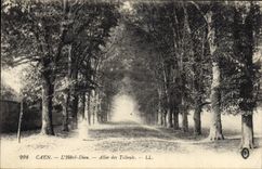 CPA Caen L'Hotel Dieu Allee des Tilleuls 