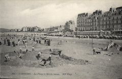 CPA Cabourg la plage a Maree basse 