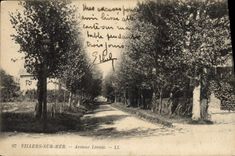 CPA Villers sur Mer Avenue Leonie 