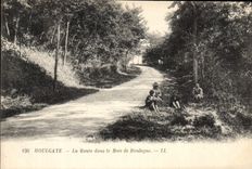 CPA Houlgate la route dans le Bois de Boulogne 