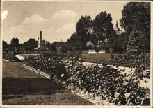 CPSM Cabourg le jardin public 