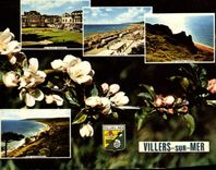 CPSM Villers sur mer La plage Mermoz La plage les Vaches Boures vue d'ensemble 