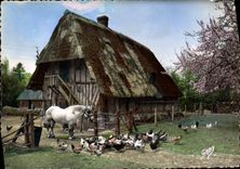 CPSM La Normandie toute la Ferme 