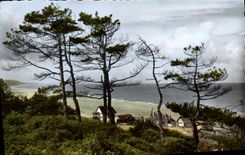 CPSM Blonville sur mer Calvados la cote a travers les pins 