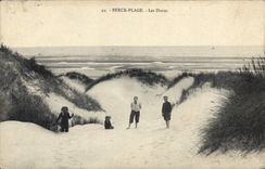 CPA Berck Plage les Dunes 