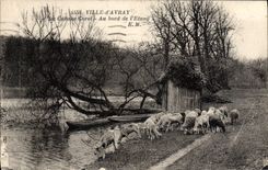 CPA Ville d'Avray La Cabane Carol Au bord de l'Etang