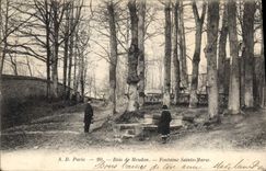 CPA Bois de Meudon Fontaine Sainte Marie