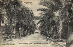 CPA Menton Allee des Palmiers