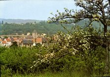 CPSM Saacy sur Marne Vue generale