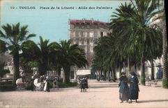 CPA Toulon Place de la Liberte Allee des Palmiers